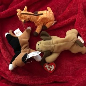 TY TEENIE BEANIE BABIES (TWIGS, BONES & CHIP the Cat)